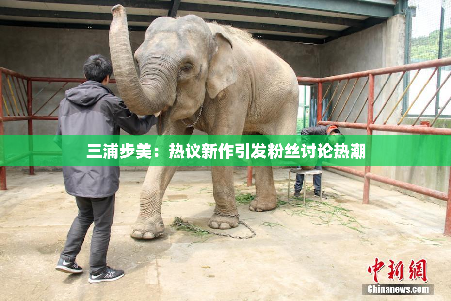 三浦步美：热议新作引发粉丝讨论热潮