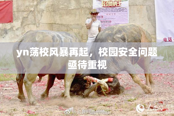 yn荡校风暴再起，校园安全问题亟待重视