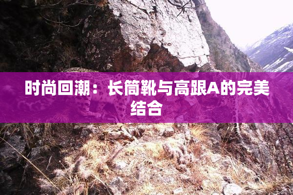 时尚回潮：长筒靴与高跟A的完美结合