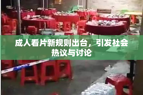 成人看片新规则出台，引发社会热议与讨论