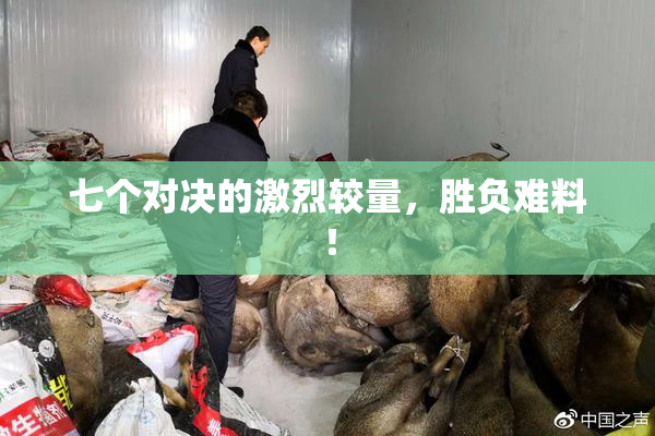 七个对决的激烈较量，胜负难料！