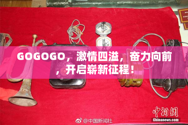 GOGOGO，激情四溢，奋力向前，开启崭新征程！