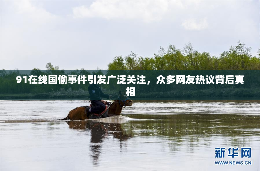 91在线国偷事件引发广泛关注，众多网友热议背后真相