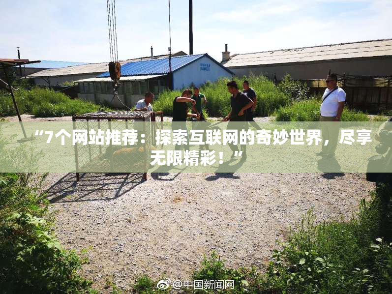 “7个网站推荐：探索互联网的奇妙世界，尽享无限精彩！”