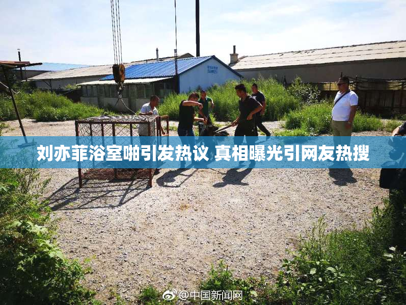 刘亦菲浴室啪引发热议 真相曝光引网友热搜