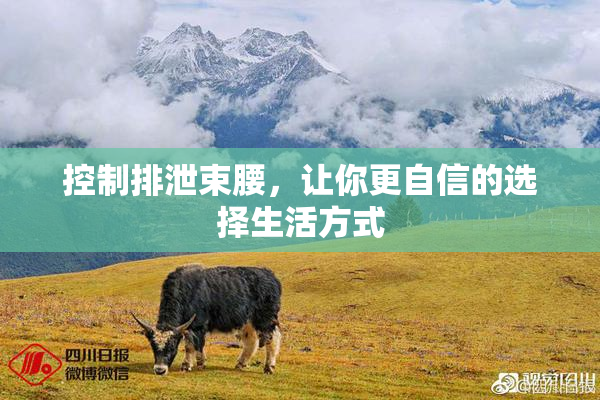 控制排泄束腰，让你更自信的选择生活方式