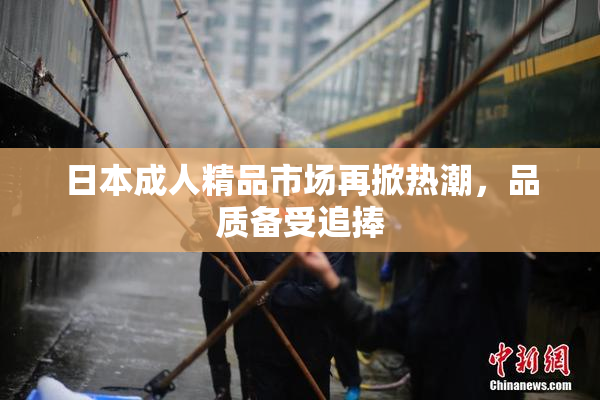 日本成人精品市场再掀热潮，品质备受追捧