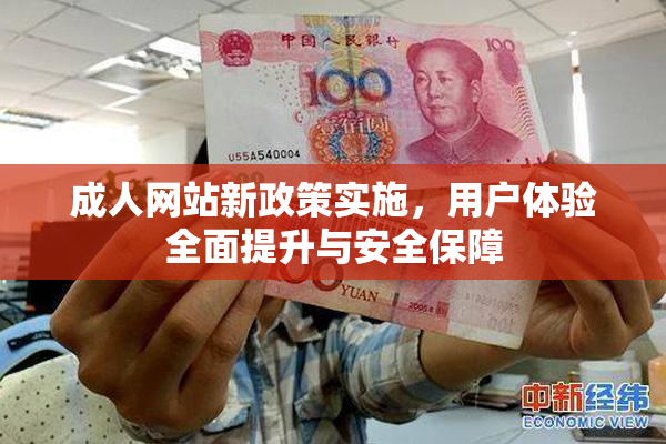 成人网站新政策实施，用户体验全面提升与安全保障