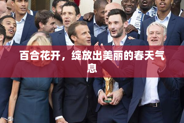 百合花开，绽放出美丽的春天气息