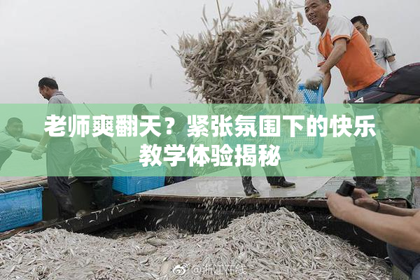 老师爽翻天？紧张氛围下的快乐教学体验揭秘