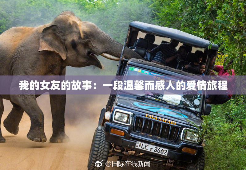 我的女友的故事：一段温馨而感人的爱情旅程