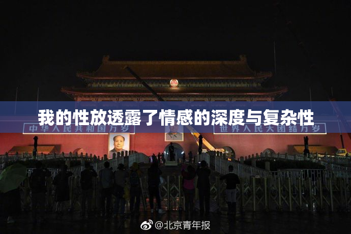 我的性放透露了情感的深度与复杂性