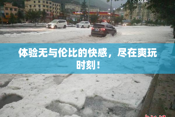 体验无与伦比的快感，尽在爽玩时刻！