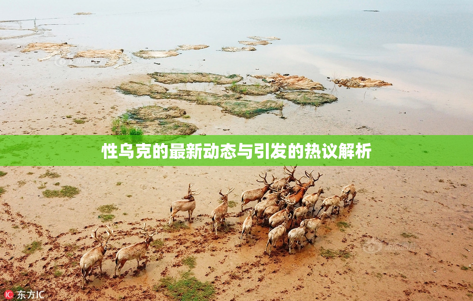 性乌克的最新动态与引发的热议解析