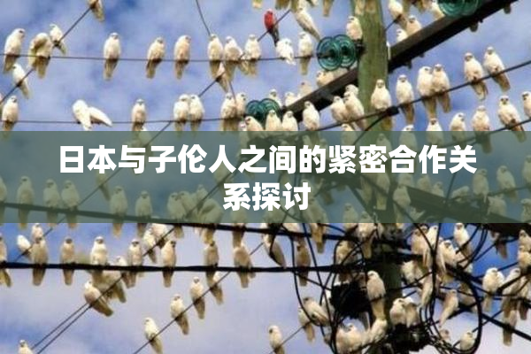 日本与子伦人之间的紧密合作关系探讨