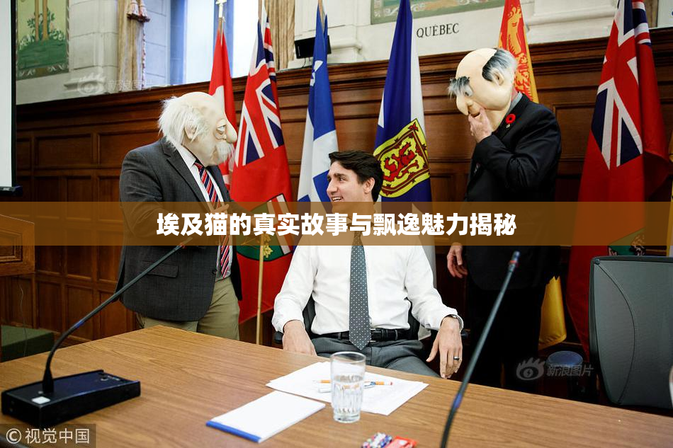 埃及猫的真实故事与飘逸魅力揭秘