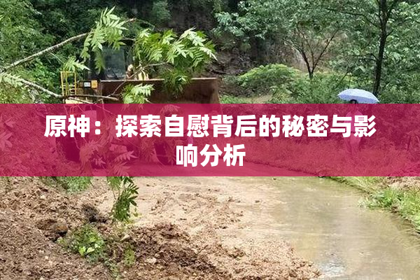 原神：探索自慰背后的秘密与影响分析
