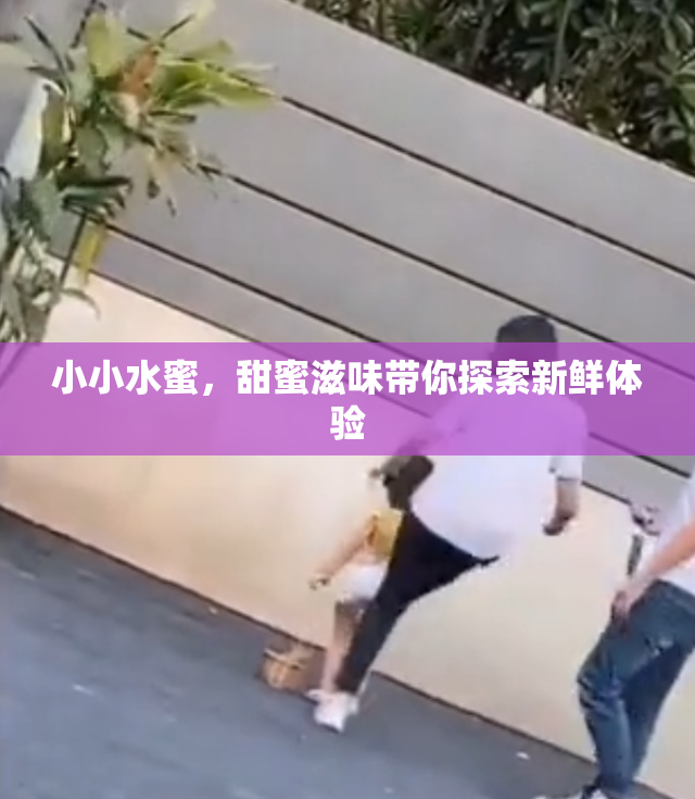 小小水蜜，甜蜜滋味带你探索新鲜体验