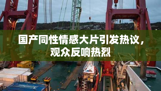 国产同性情感大片引发热议，观众反响热烈