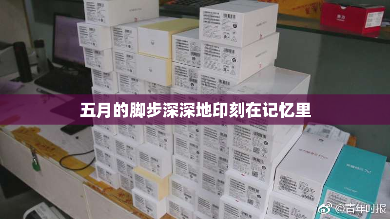 五月的脚步深深地印刻在记忆里