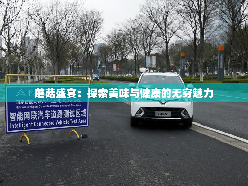 蘑菇盛宴：探索美味与健康的无穷魅力