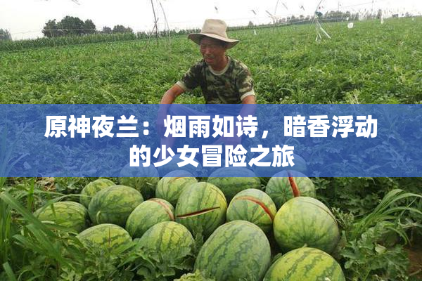 原神夜兰：烟雨如诗，暗香浮动的少女冒险之旅