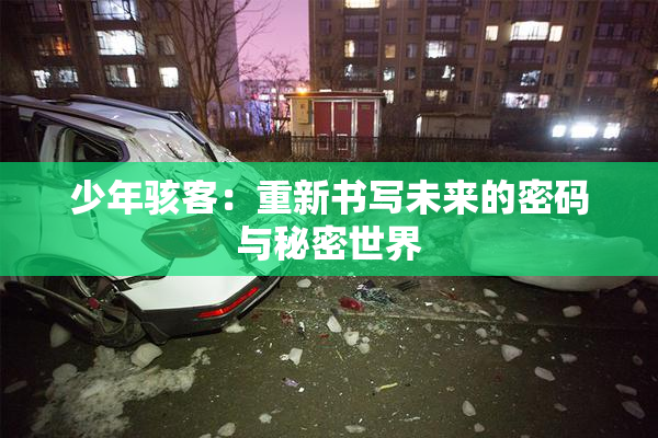少年骇客：重新书写未来的密码与秘密世界
