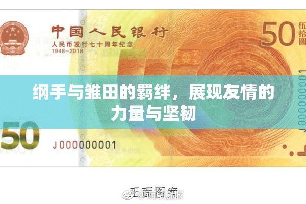 纲手与雏田的羁绊，展现友情的力量与坚韧