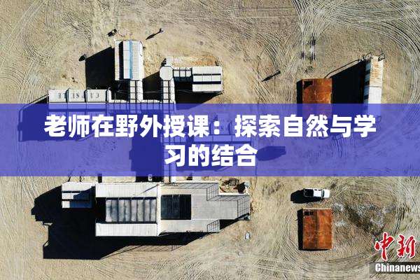 老师在野外授课：探索自然与学习的结合