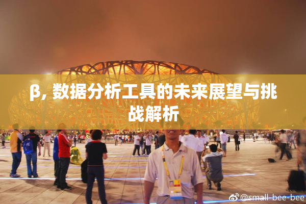 β, 数据分析工具的未来展望与挑战解析