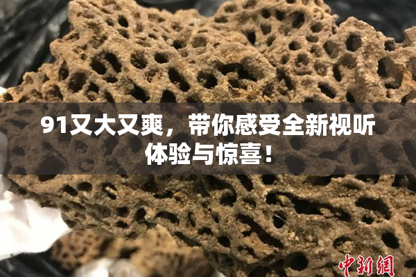 91又大又爽，带你感受全新视听体验与惊喜！