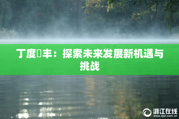 丁度巜丰：探索未来发展新机遇与挑战