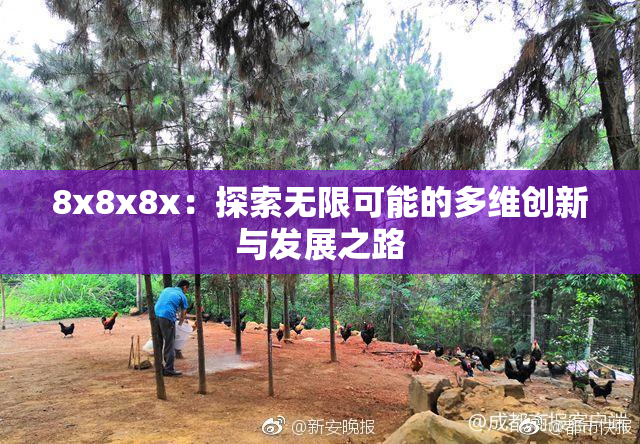 8x8x8x：探索无限可能的多维创新与发展之路
