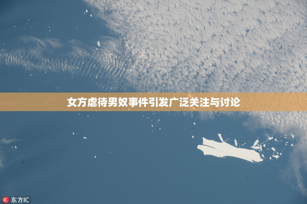 女方虐待男奴事件引发广泛关注与讨论