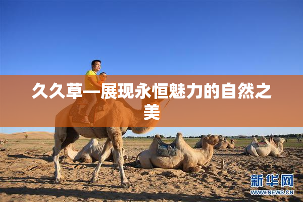 久久草—展现永恒魅力的自然之美