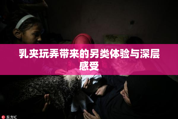 乳夹玩弄带来的另类体验与深层感受