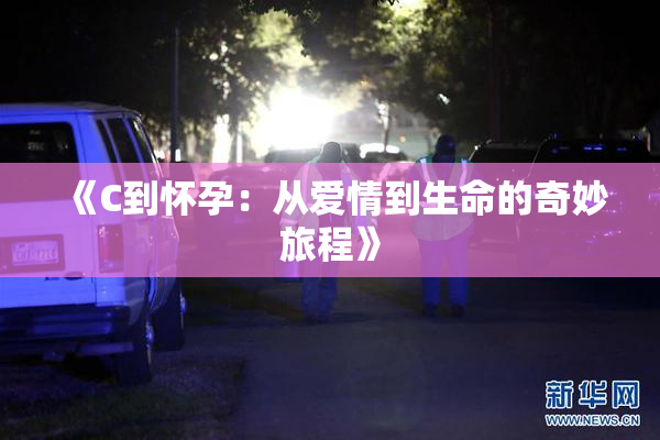 《C到怀孕：从爱情到生命的奇妙旅程》
