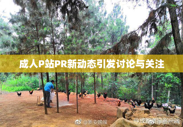 成人P站PR新动态引发讨论与关注