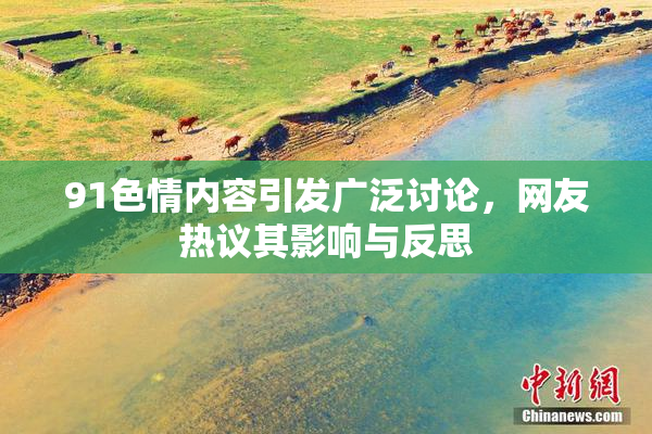 91色情内容引发广泛讨论，网友热议其影响与反思