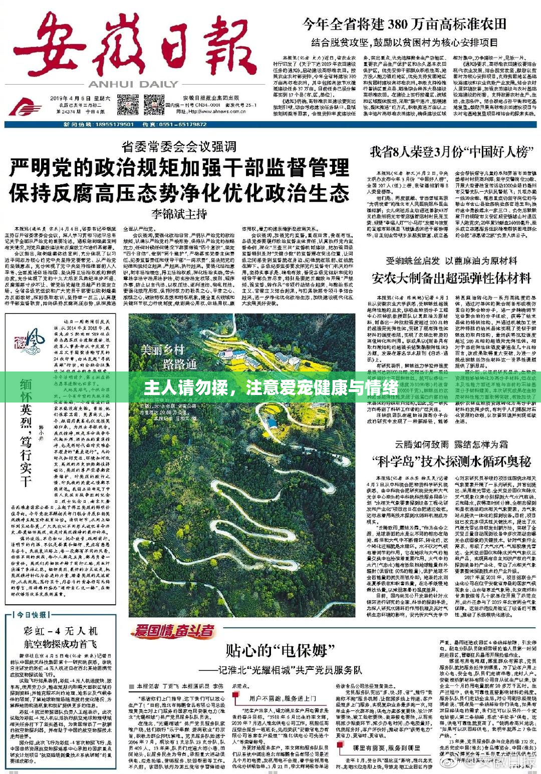 主人请勿揉，注意爱宠健康与情绪