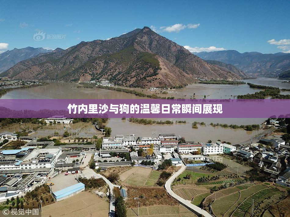 竹内里沙与狗的温馨日常瞬间展现