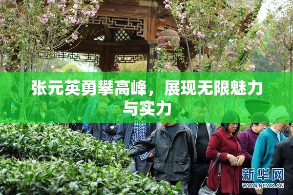 张元英勇攀高峰，展现无限魅力与实力