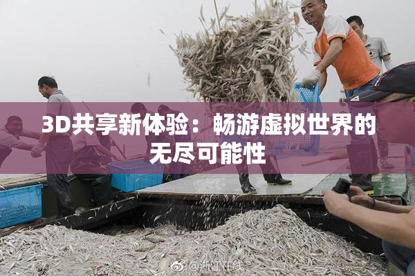 3D共享新体验：畅游虚拟世界的无尽可能性