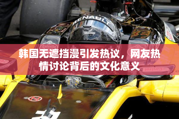韩国无遮挡漫引发热议，网友热情讨论背后的文化意义