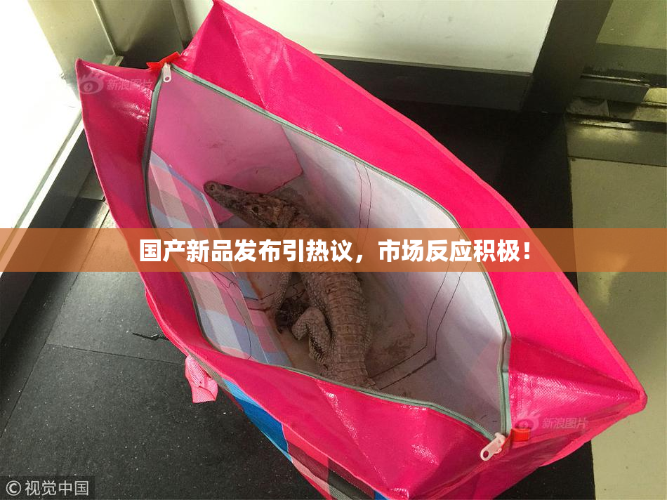 国产新品发布引热议，市场反应积极！