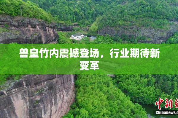 兽皇竹内震撼登场，行业期待新变革