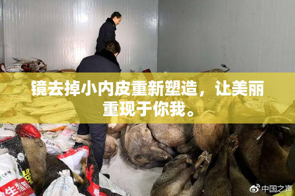 镜去掉小内皮重新塑造，让美丽重现于你我。