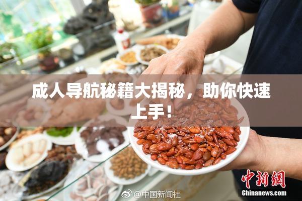 成人导航秘籍大揭秘，助你快速上手！