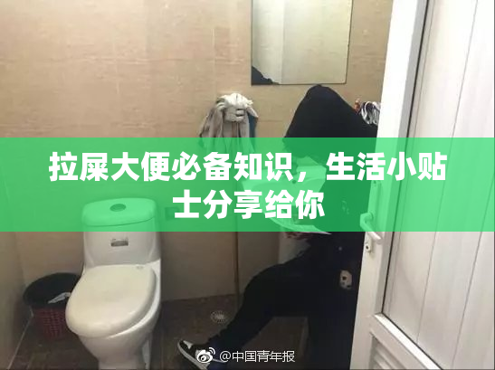 拉屎大便必备知识，生活小贴士分享给你