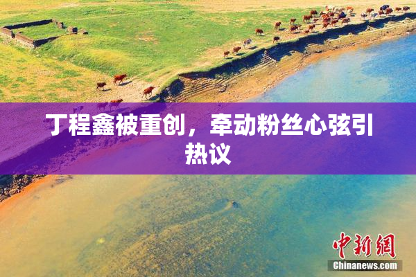 丁程鑫被重创，牵动粉丝心弦引热议